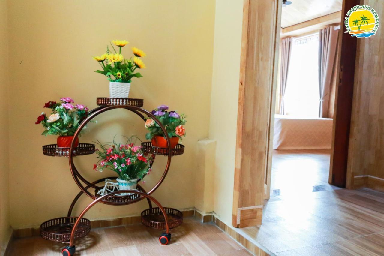 Cat Ba Vintage Homestay Cat Ba Island ภายนอก รูปภาพ